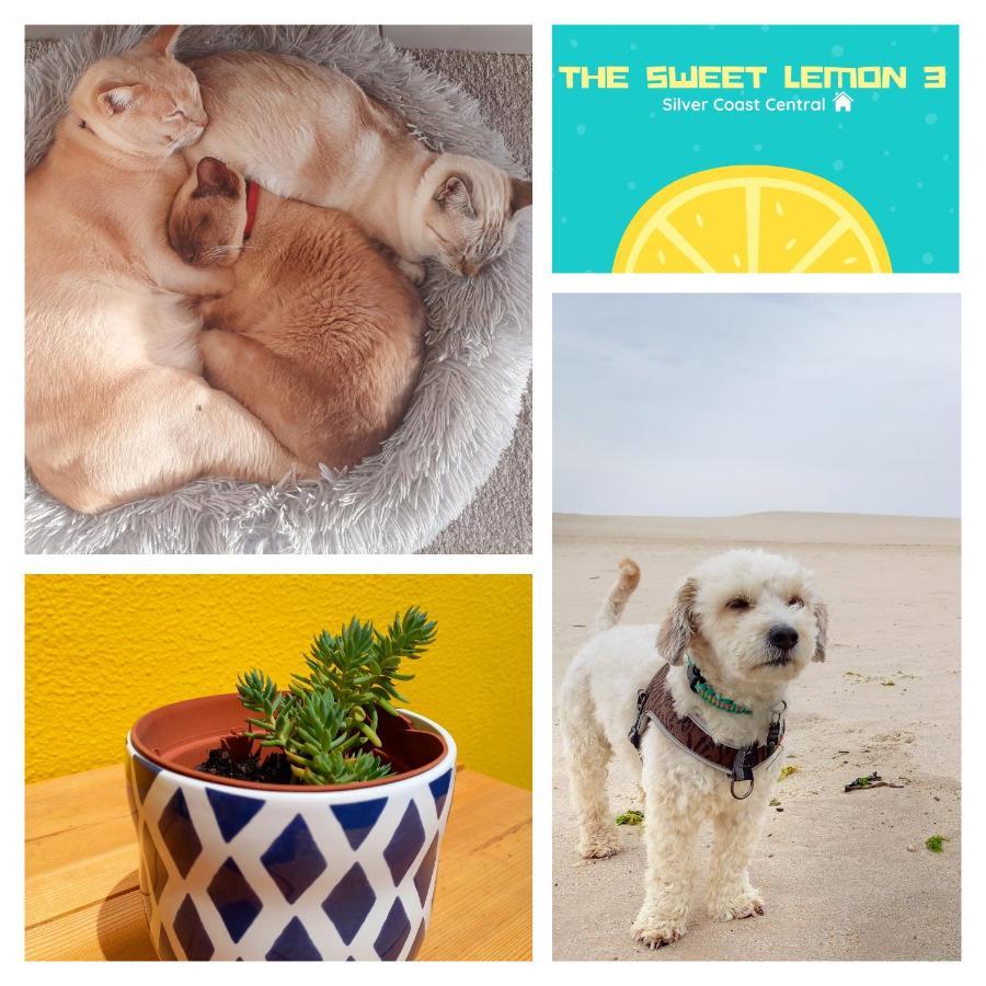 ボンバラルThe Sweet Lemon 3アパートメント エクステリア 写真